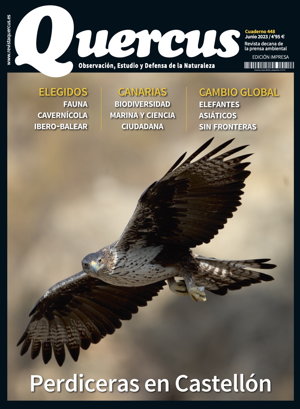 Click para ampliar Quercus 448