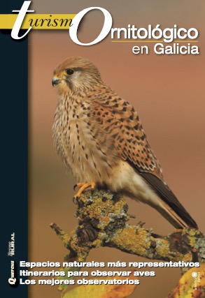 Turimo Ornitológico en Galicia