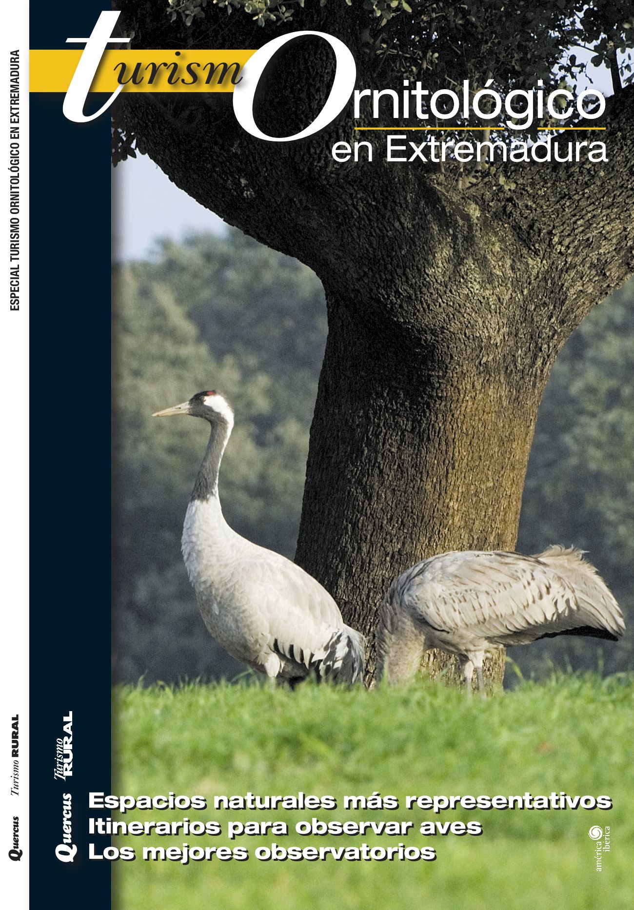Turismo Ornitológico - Extremadura