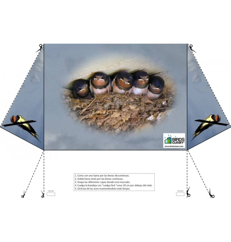 Bandeja recogedor de excrementos de golondrina