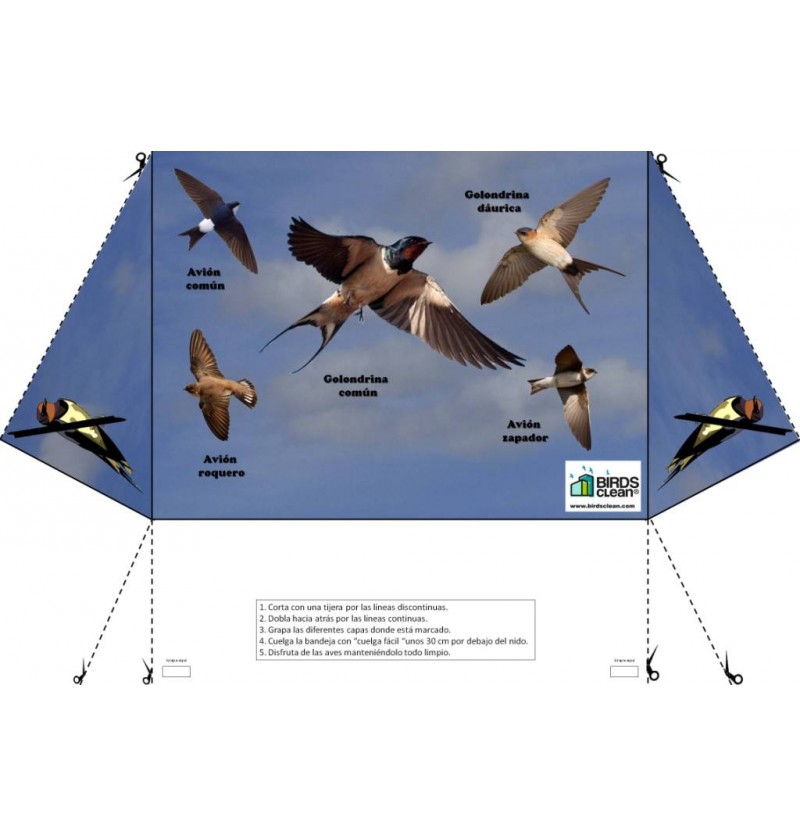 Bandeja recogedor de excrementos de golondrina