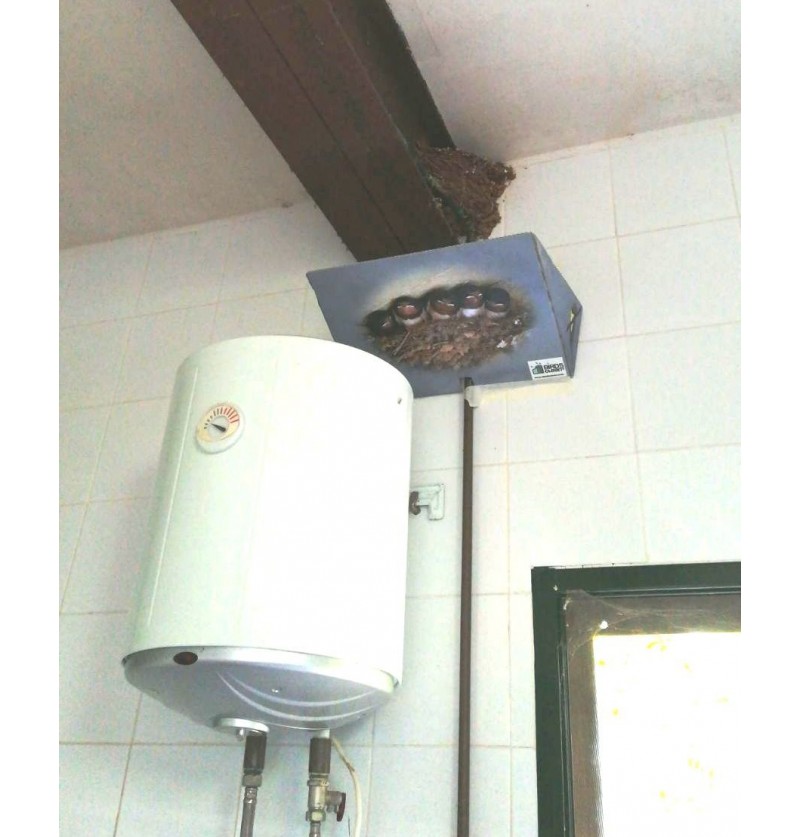 Bandeja recogedor de excrementos de golondrina