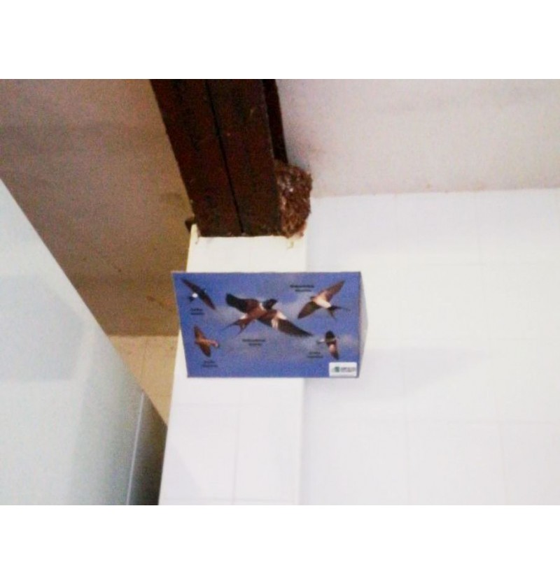 Bandeja recogedor de excrementos de golondrina