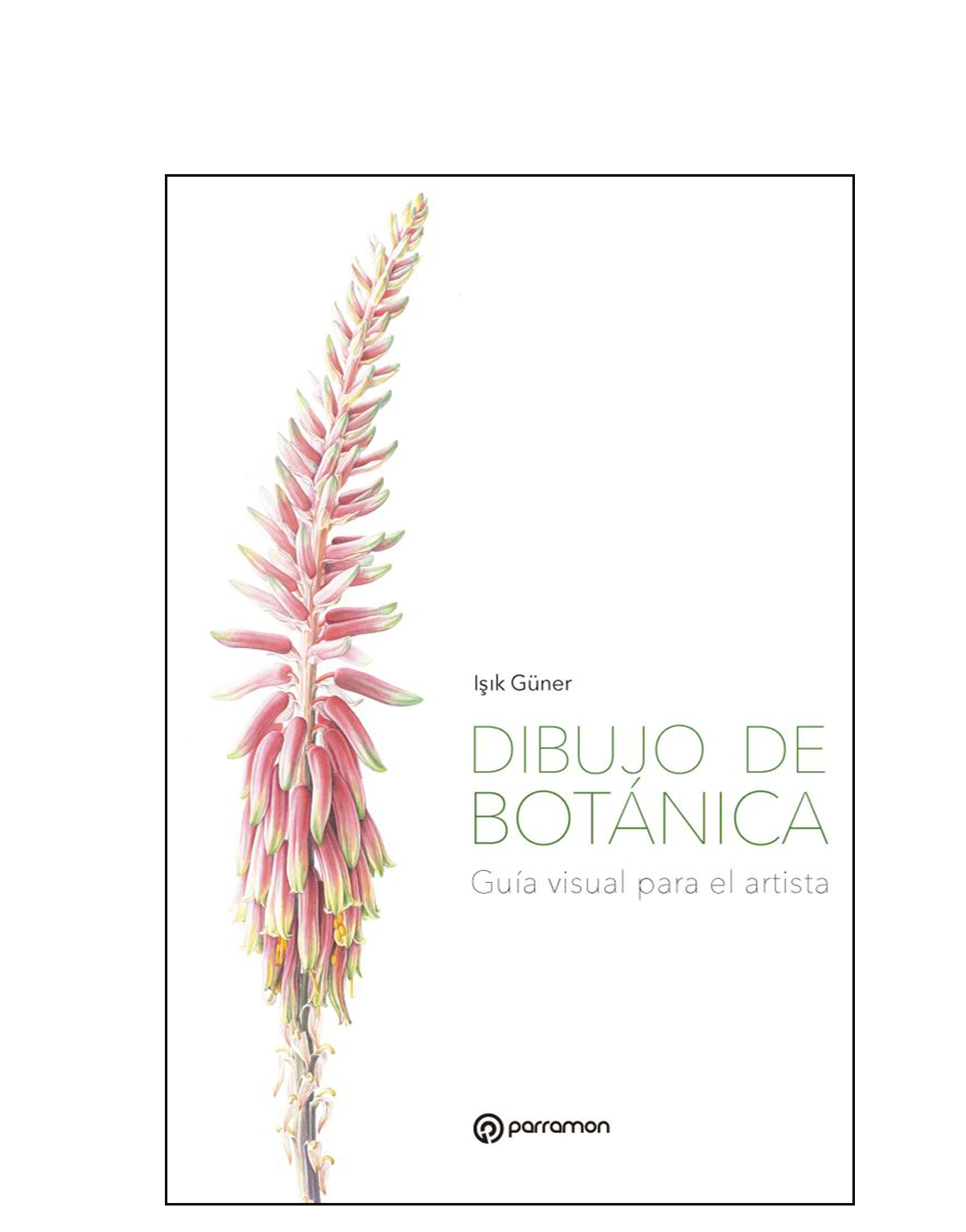 Arte y naturaleza