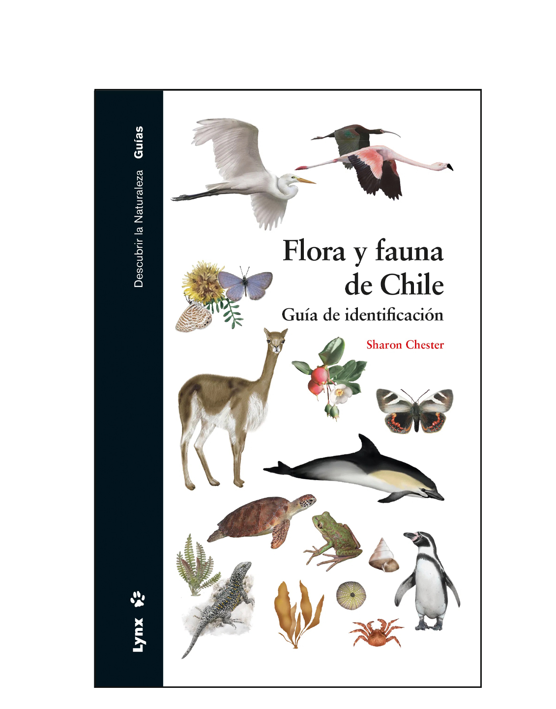 Fauna y Flora