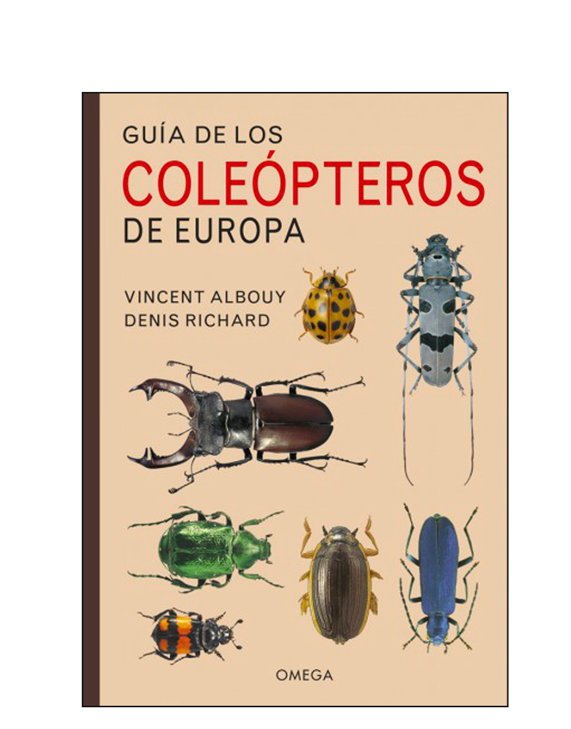 Invertebrados