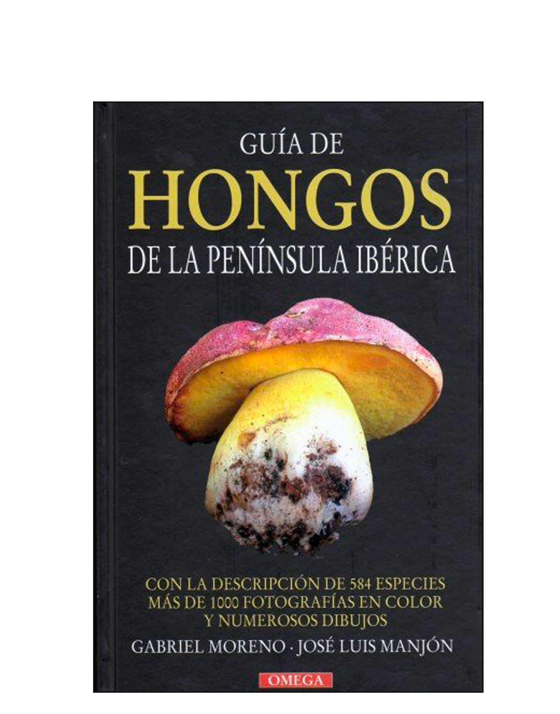 Micología