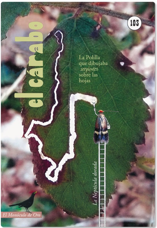 El Cárabo 103
