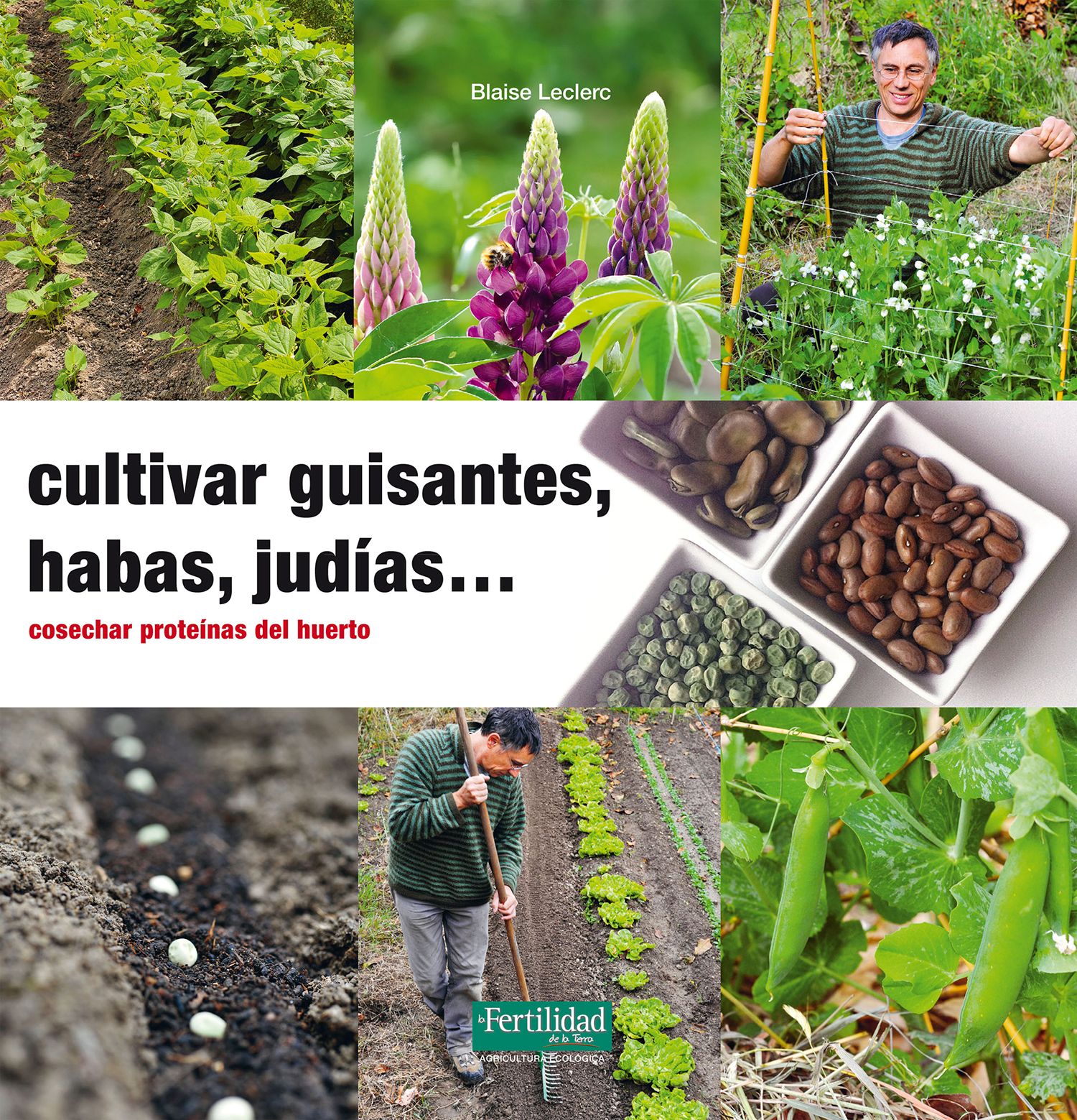 Cultivar guisantes, habas, judías...