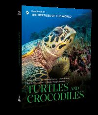 Turtles and crocodiles