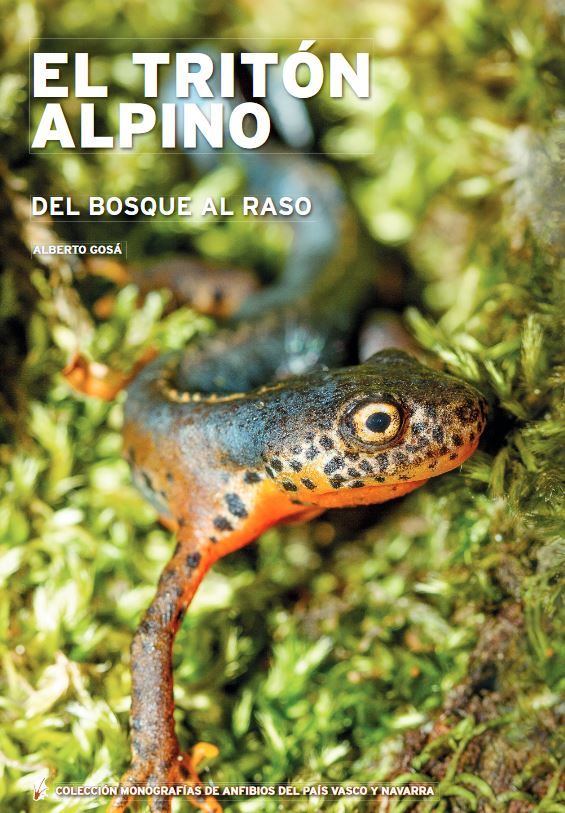 El tritón alpino