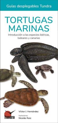 Tortugas marinas