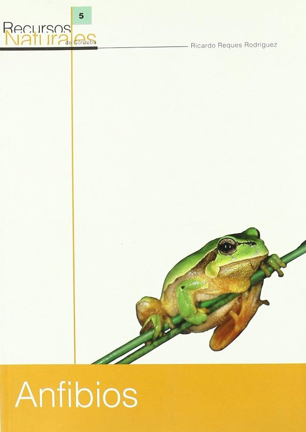 Anfibios