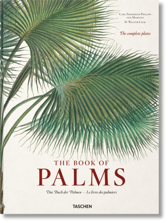 Click para ampliar The Book of Palms