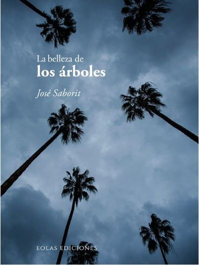 La belleza de los árboles