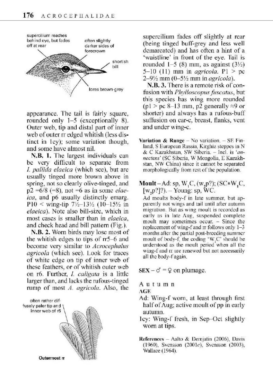 Identification guide to european passerines