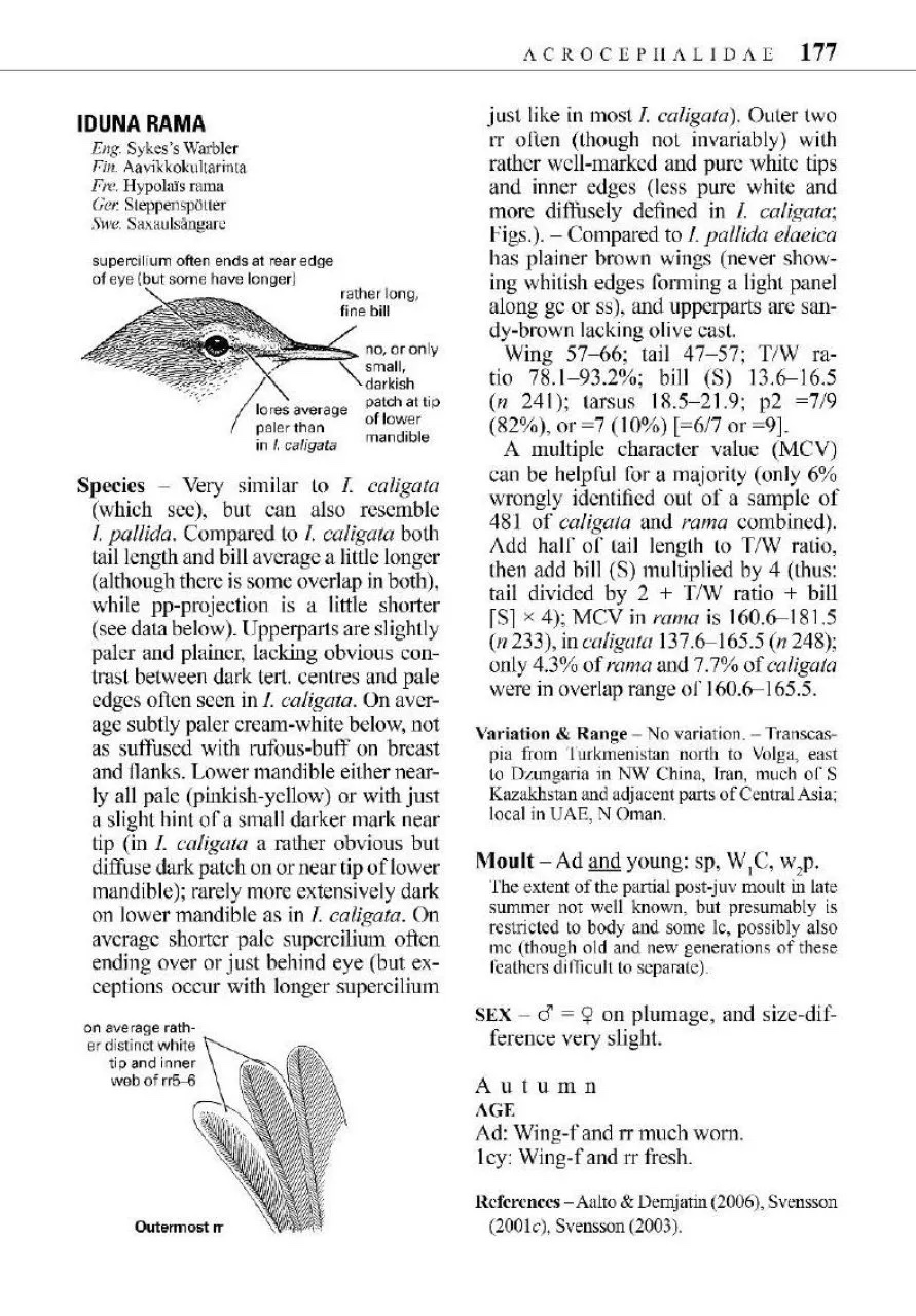 Identification guide to european passerines