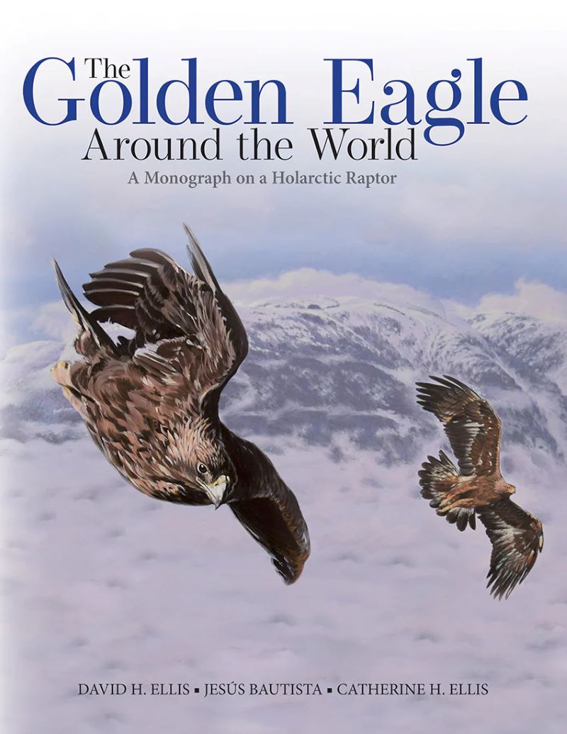 The Golden Eagle around the World