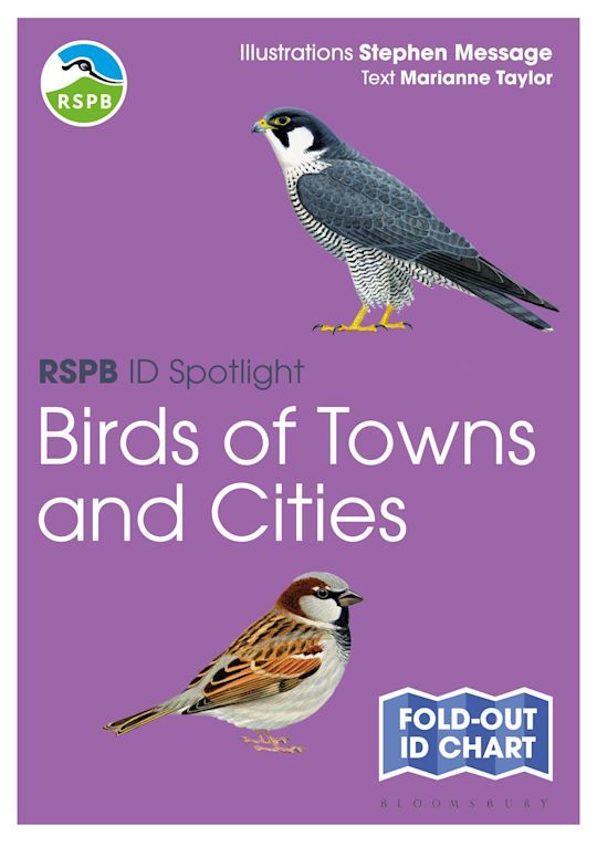 Birds of Towns and Cities