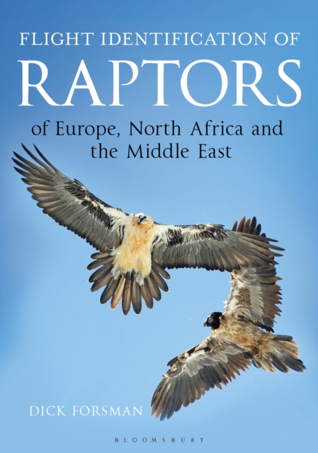 Flight identification of raptors of Europe, North Africa and Middle East