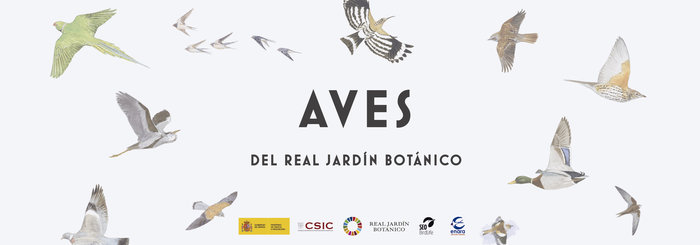 Aves del Real Jardín Botánico