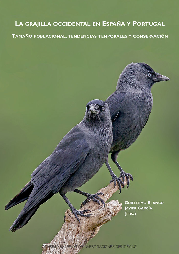 La grajilla occidental en España y Portugal