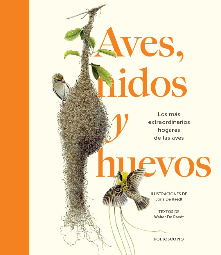 Aves, nidos y huevos