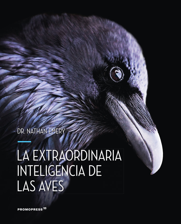 La extraordinaria inteligencia de las aves
