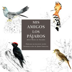 Mis amigos los pájaros