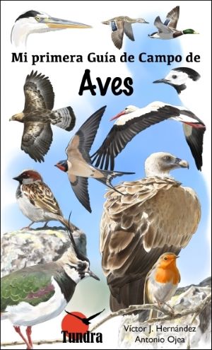 Mi primera Guía de Campo de Aves