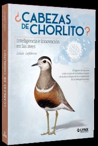 ¿Cabezas de chorlito?