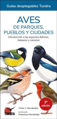 Aves de parques, pueblos y ciudades