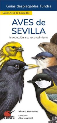 Aves de Sevilla