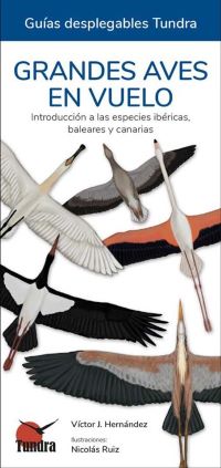 Grandes aves en vuelo