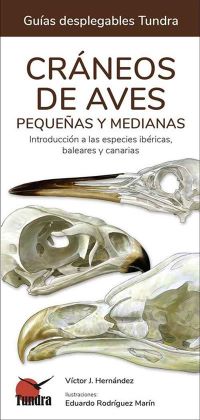 Cráneos de aves pequeñas y medianas