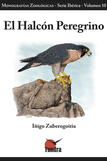 El Halcón Peregrino