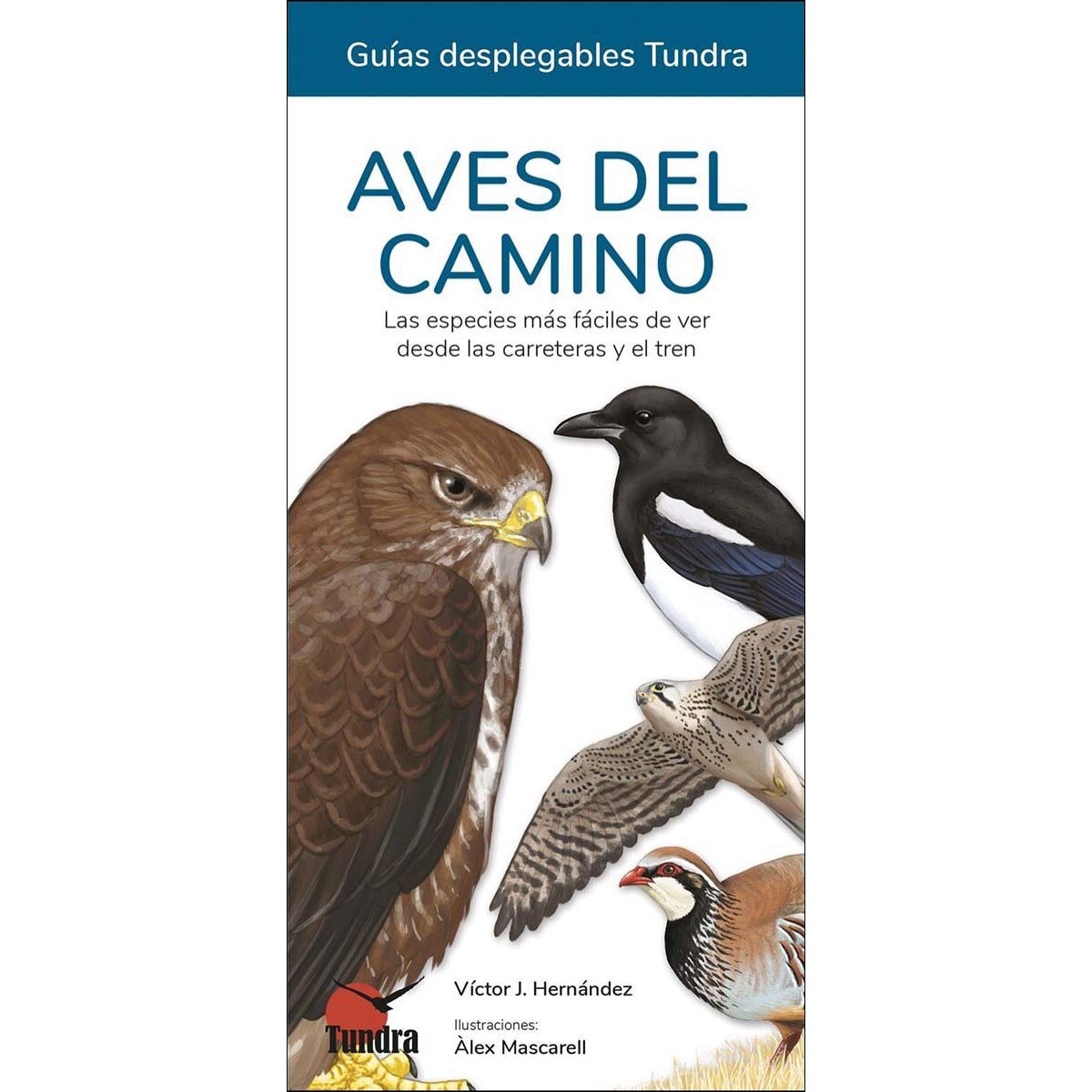 Aves del camino