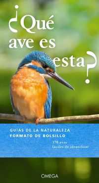 ¿Qué ave es esta?