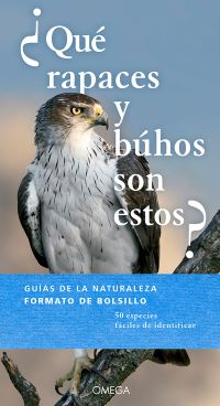 ¿Qué rapaces y búhos son estos?