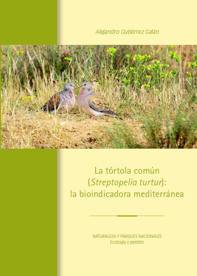 La tórtola común (Streptopelia turtur): la bioindicadora mediterránea