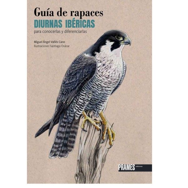 Guía de rapaces diurnas ibéricas para conocerlas y diferenciarlas