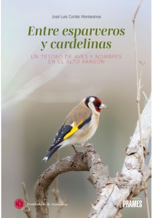 Click para ampliar Entre esparveros y cardelinas