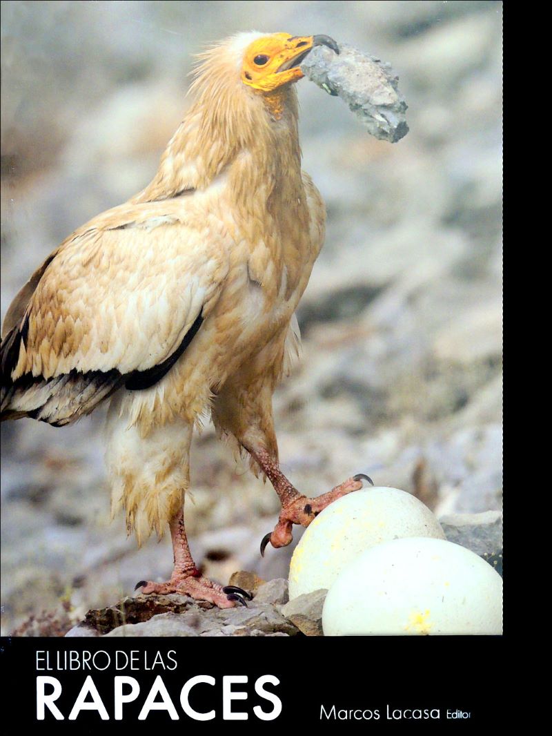 El libro de las rapaces