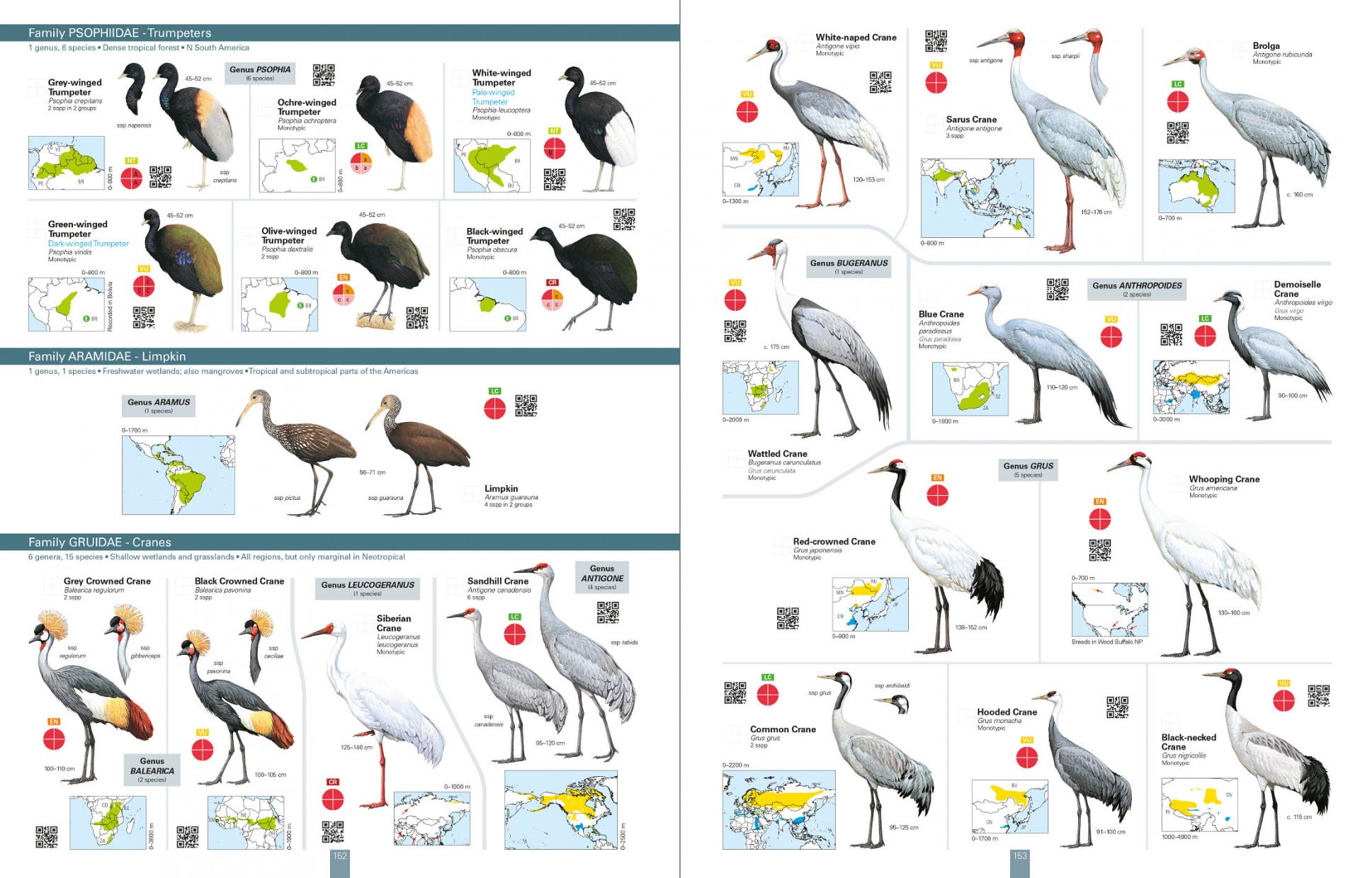 All the birds of the World