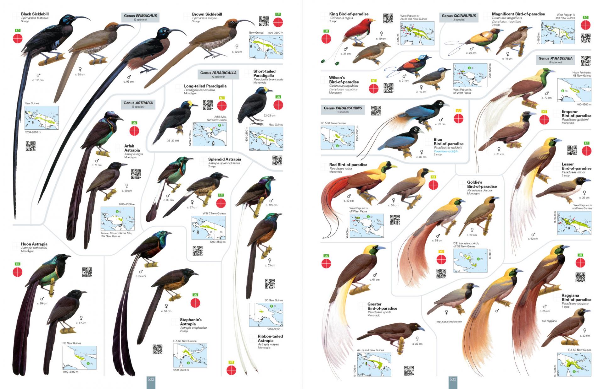 All the birds of the World