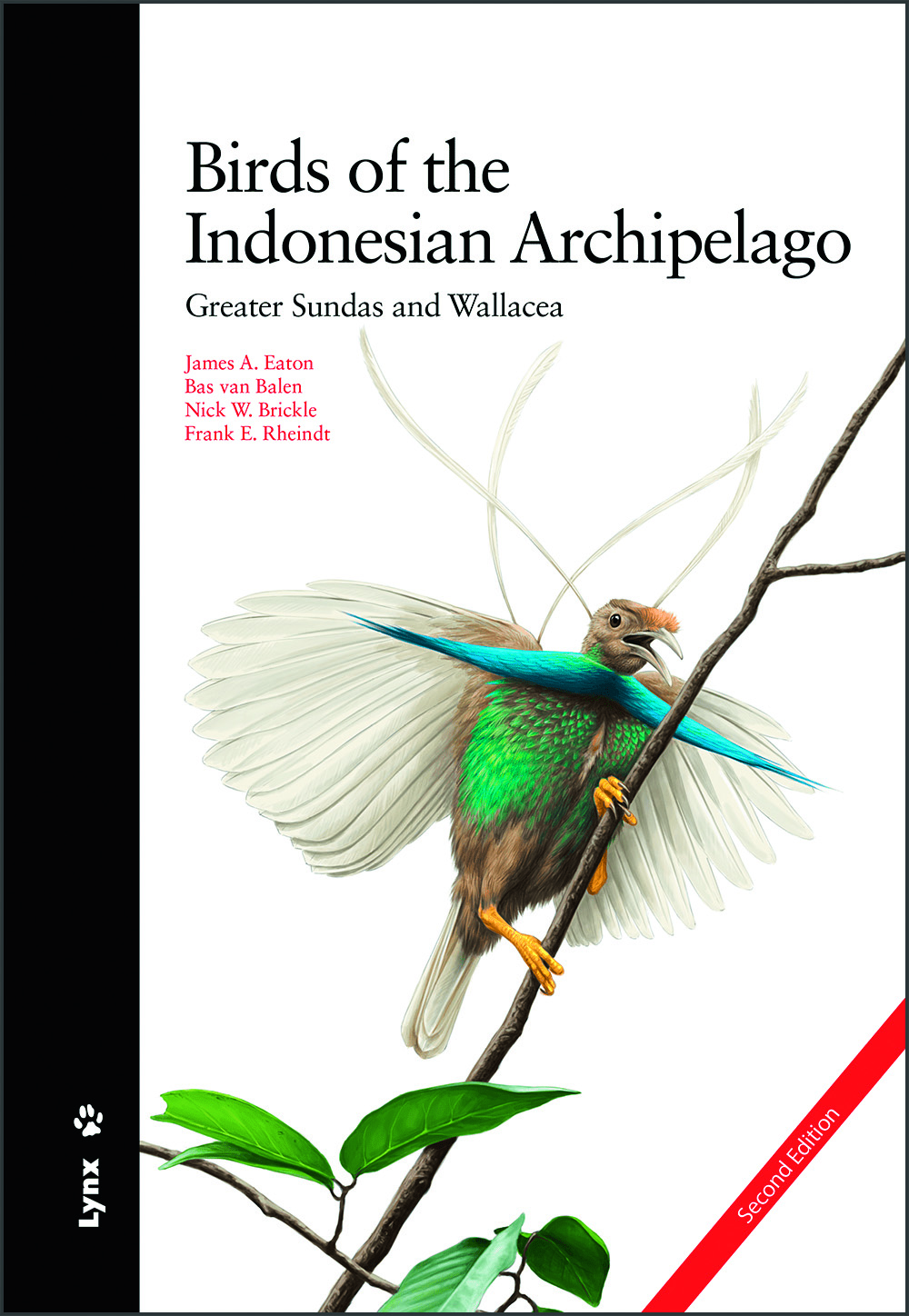 Click para ampliar Birds of the Indonesian Archipielago