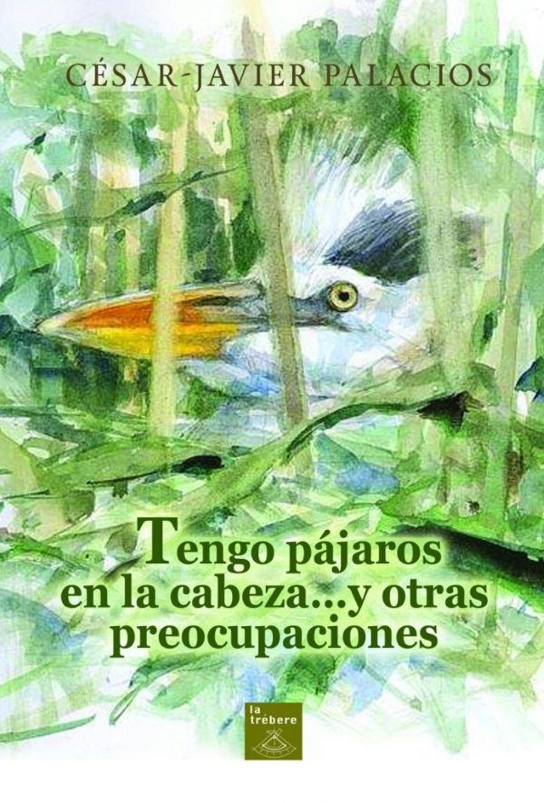 Tengo pájaros en la cabeza