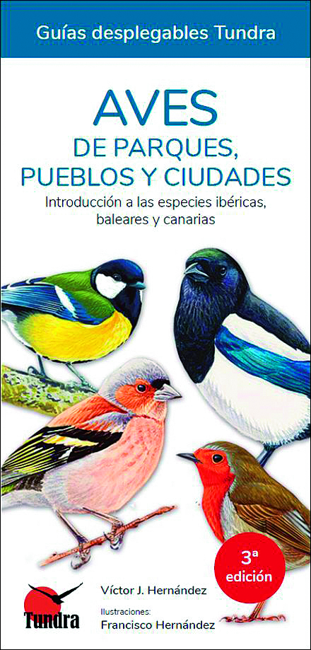 Aves de parques, pueblos y ciudades