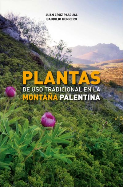 Plantas de uso tradicional en la Montaña Palentina