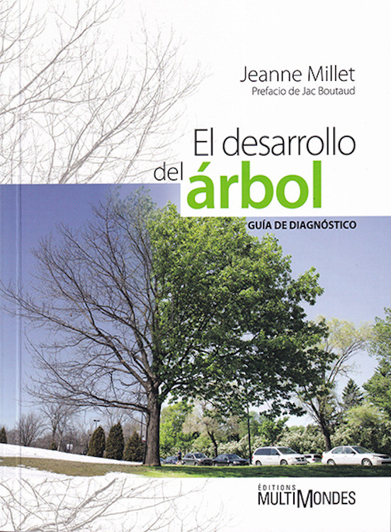 El desarrollo del árbol
